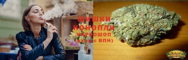 эйфоретик Ельня
