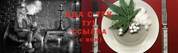 эйфоретик Ельня