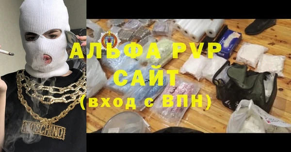 эйфоретик Ельня