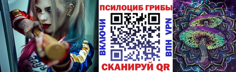 Купить закладки  Ирбит  Псилоцибиновые грибы MAGIC MUSHROOMS 